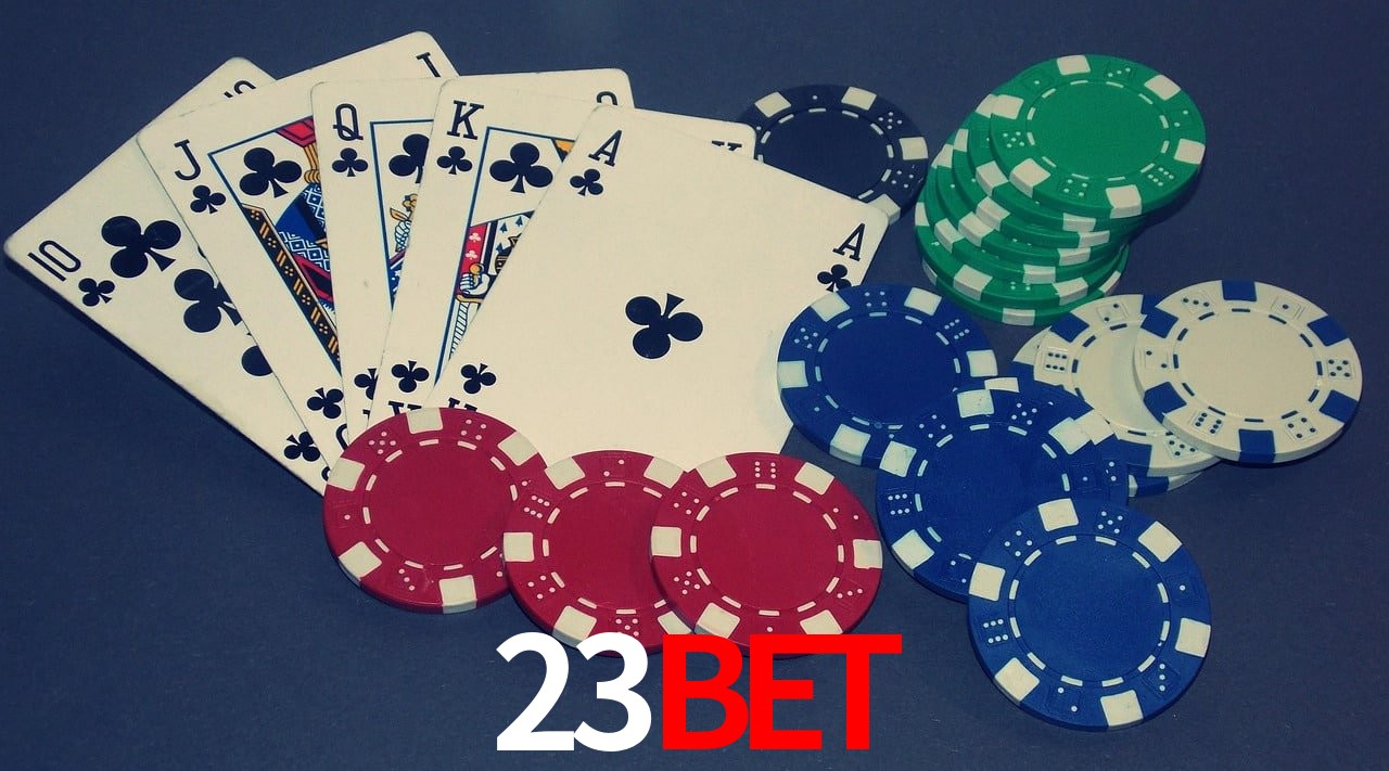 Game Statistics 23bet